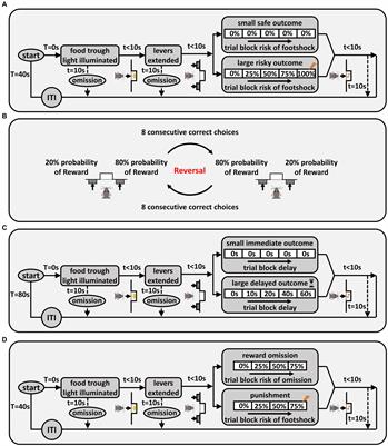 Effects of reproductive experience on cost-benefit decision making in female rats